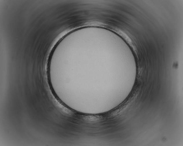 X0000101190947200807250959