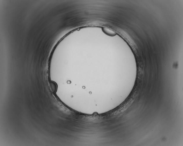 X0000101190948200807250959
