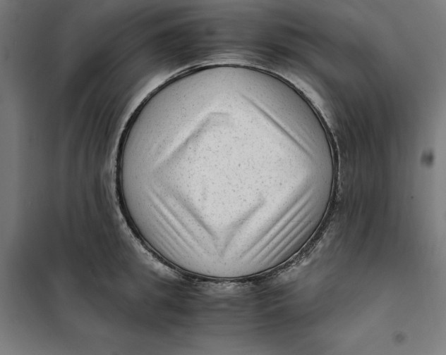 X0000101190949200807250959