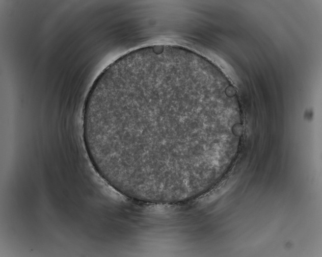 X0000101190950200807250959