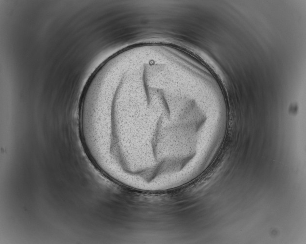 X0000101190951200807250959