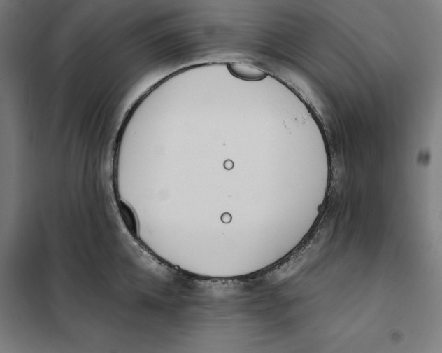 X0000101190952200807250959