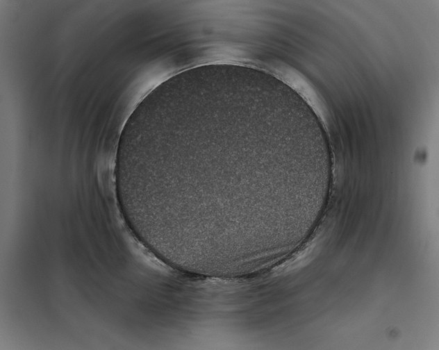 X0000101190954200807250959
