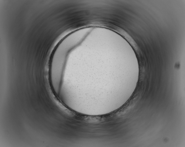 X0000101190955200807250959