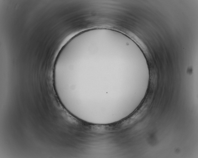 X0000101190956200807250959