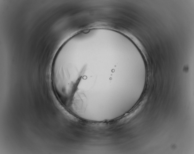 X0000101190957200807250959