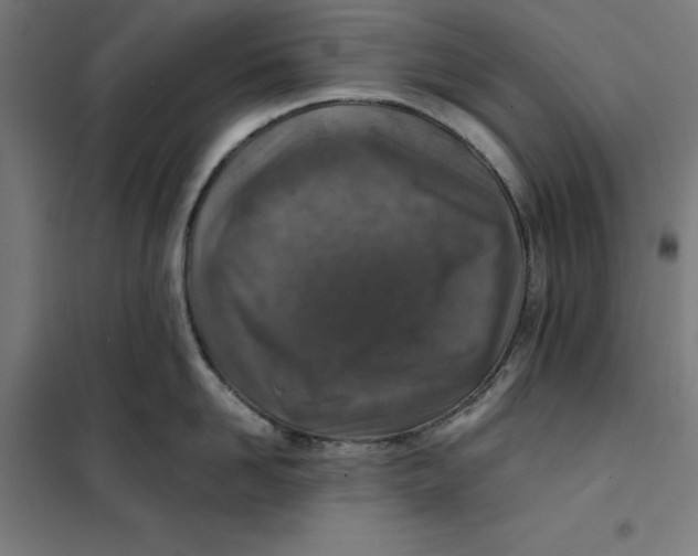 X0000101190958200807250959