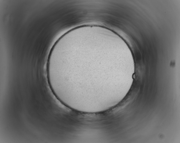X0000101190959200807250959