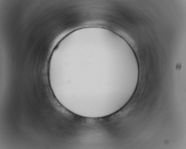 X0000101190960200807250959