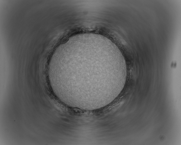 X0000101190961200807250959
