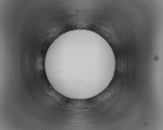X0000101190962200807250959