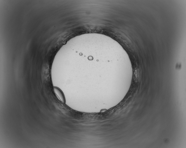 X0000101190963200807250959