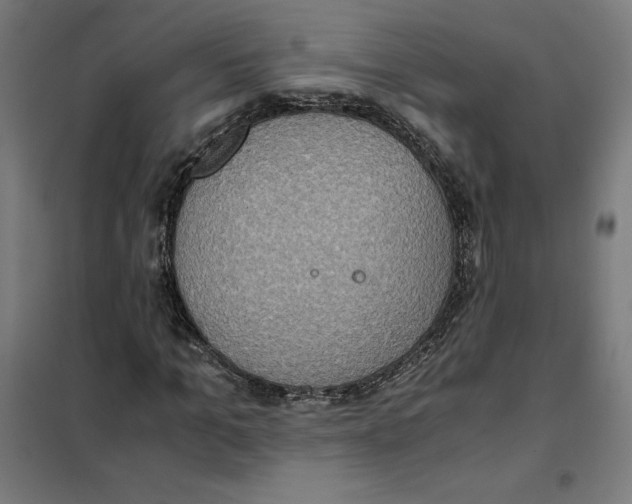 X0000101190965200807250959