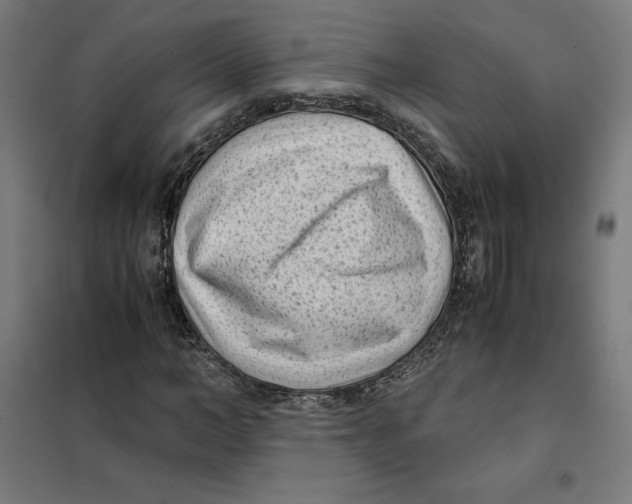 X0000101190966200807250959