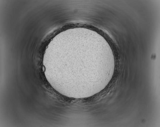 X0000101190967200807250959