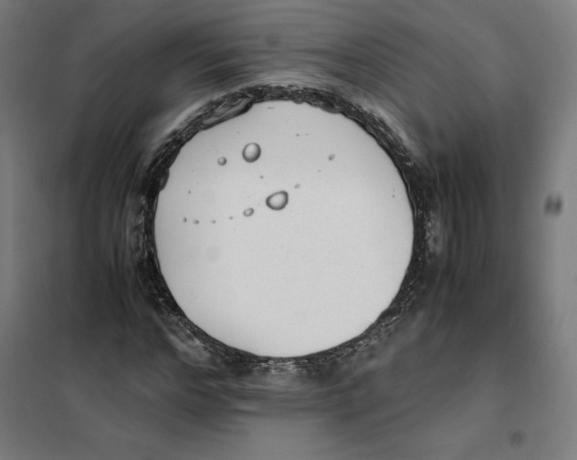 X0000101190968200807250959