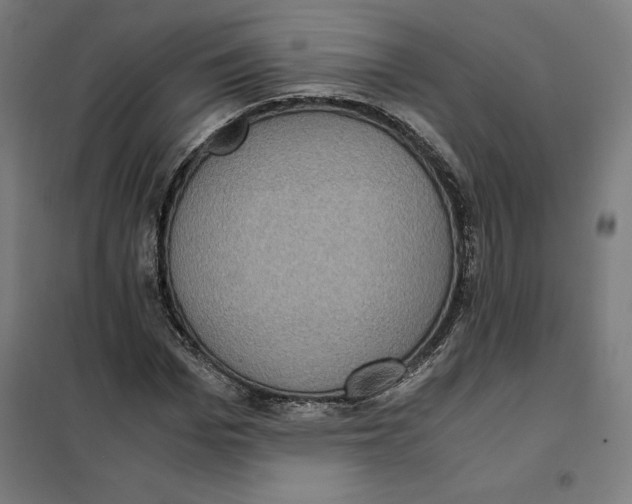 X0000101190969200807250959