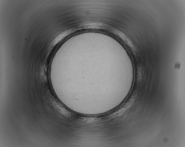 X0000101190970200807250959