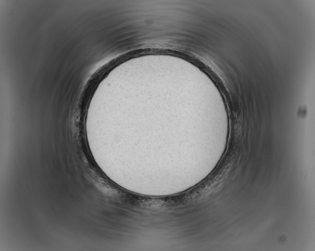 X0000101190971200807250959