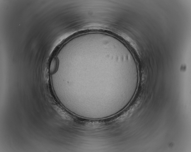 X0000101190973200807250958