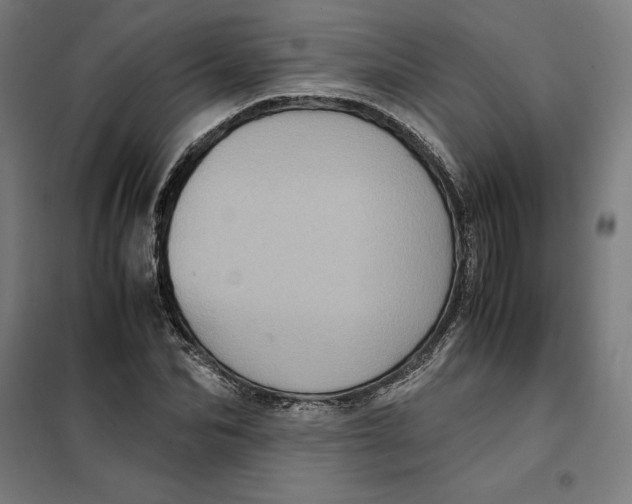 X0000101190974200807250958