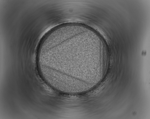 X0000101190975200807250958