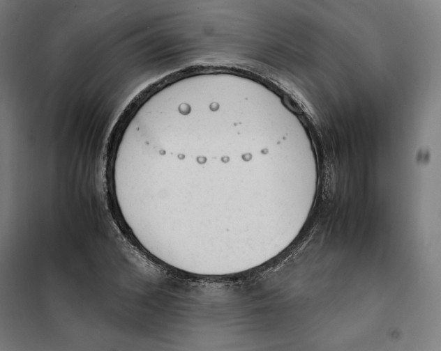 X0000101190976200807250958