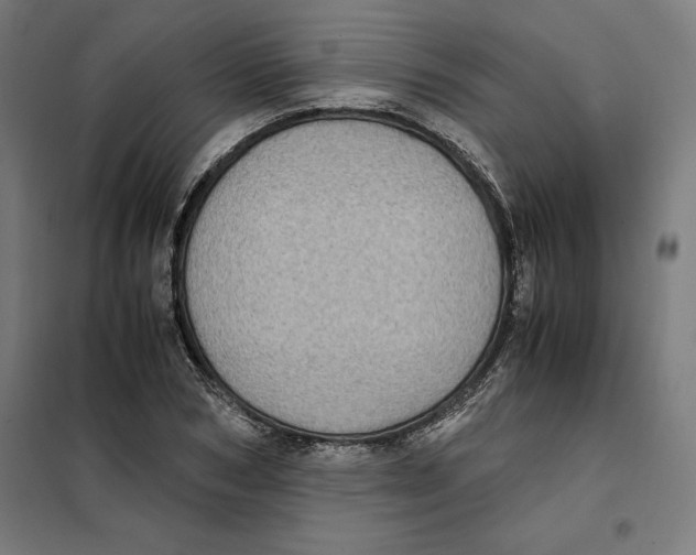 X0000101190978200807250958