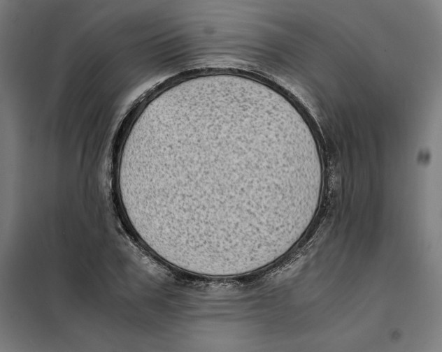 X0000101190979200807250958