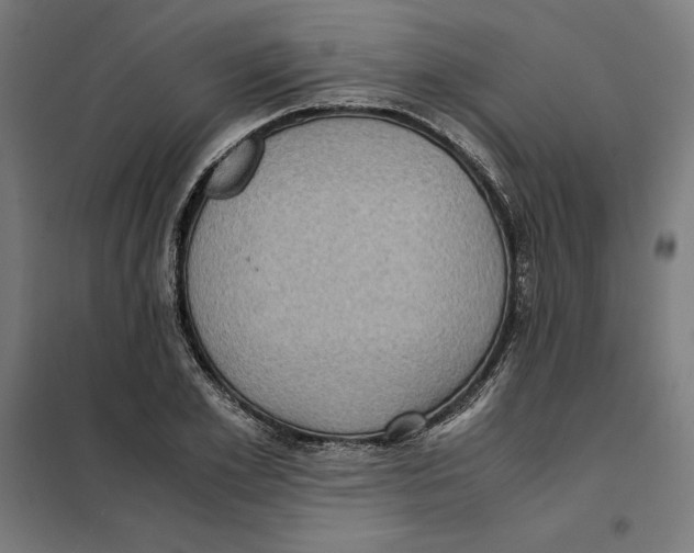 X0000101190981200807250958