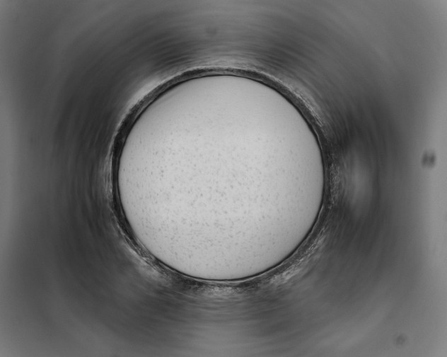 X0000101190982200807250958