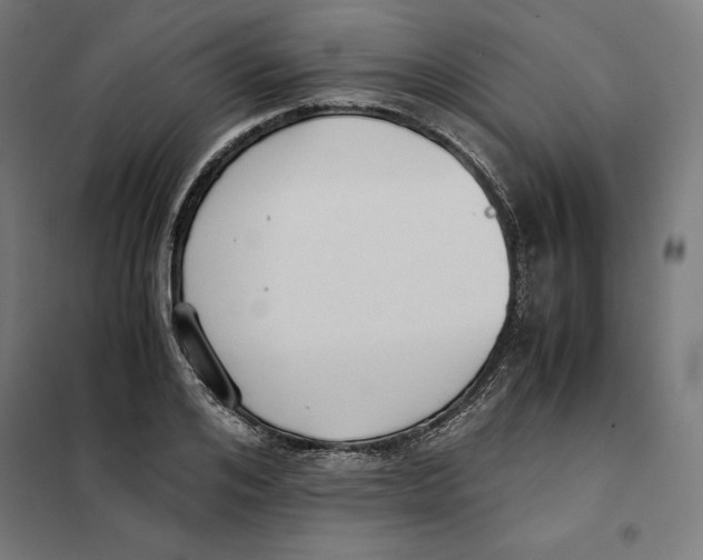 X0000101190984200807250958