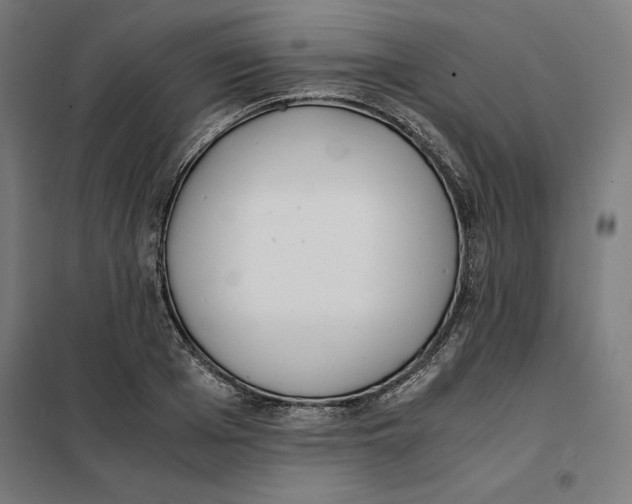 X0000101190985200807250958