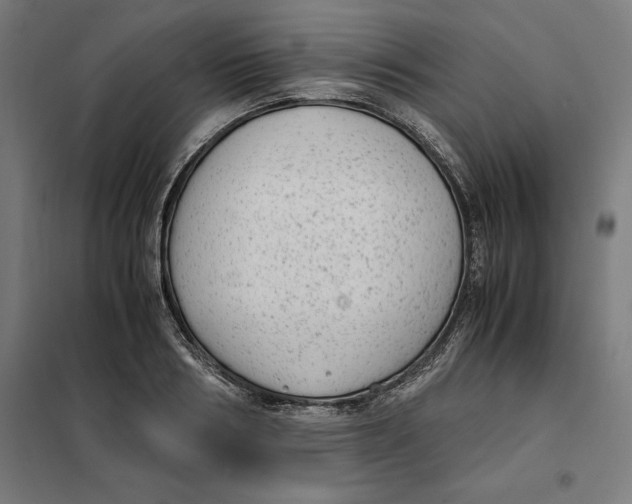 X0000101190986200807250958