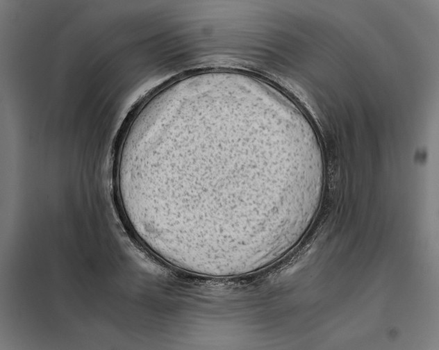 X0000101190987200807250958