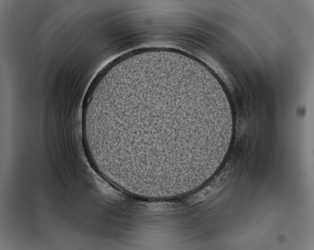 X0000101190988200807250958