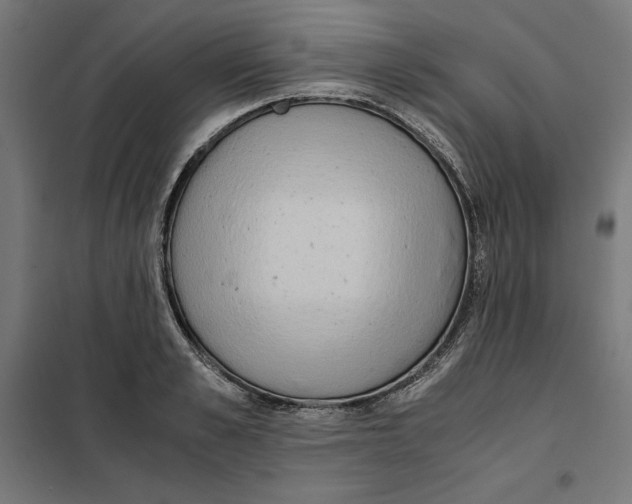 X0000101190989200807250958