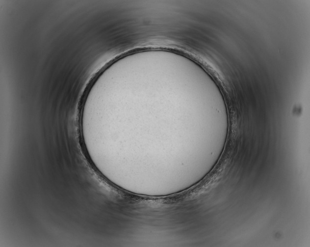 X0000101190990200807250958