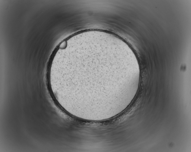 X0000101190991200807250958