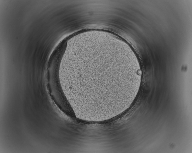 X0000101190992200807250958