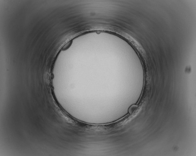 X0000101190993200807250958
