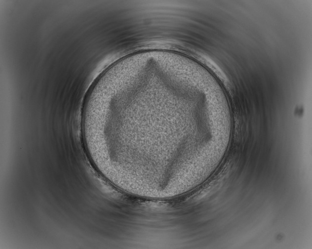 X0000101190994200807250958