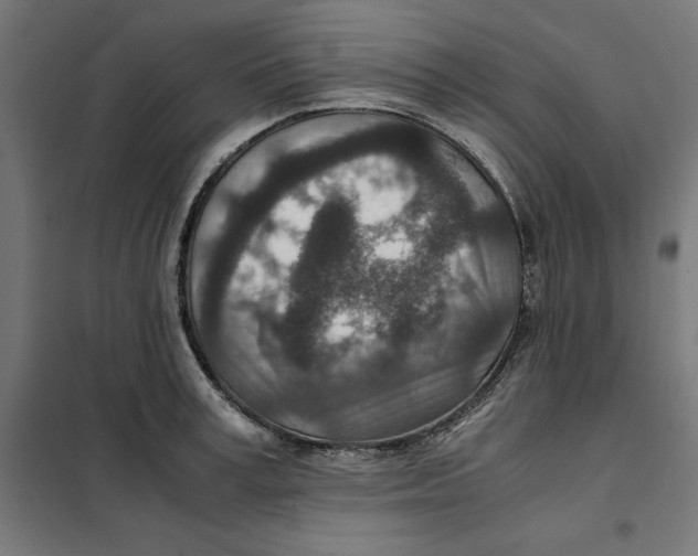 X0000101190995200807250958