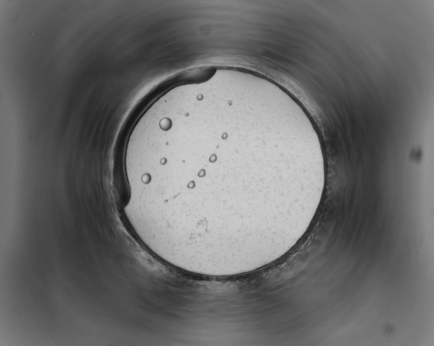 X0000101190996200807250958