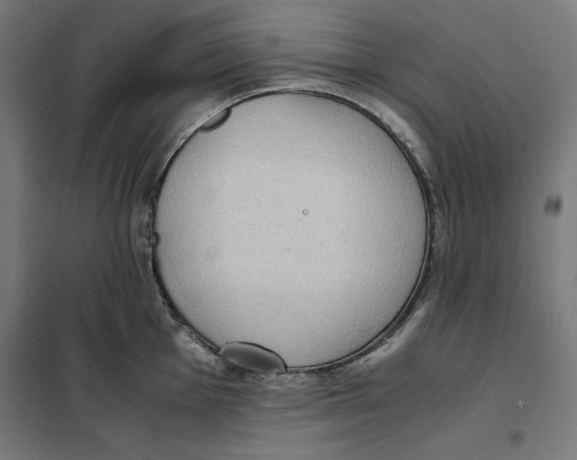X0000101191001200807250958