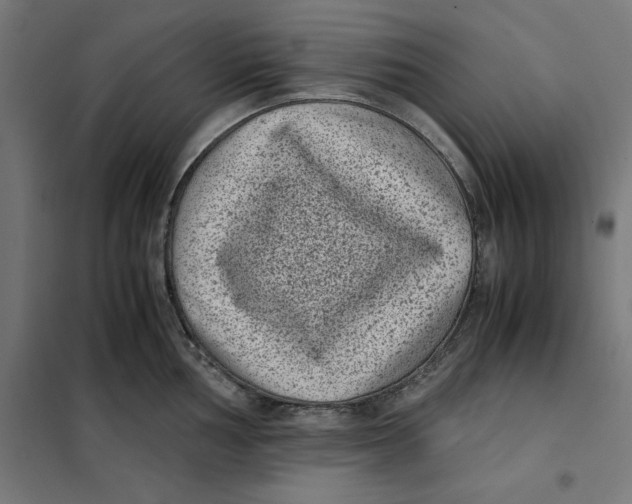 X0000101191002200807250958