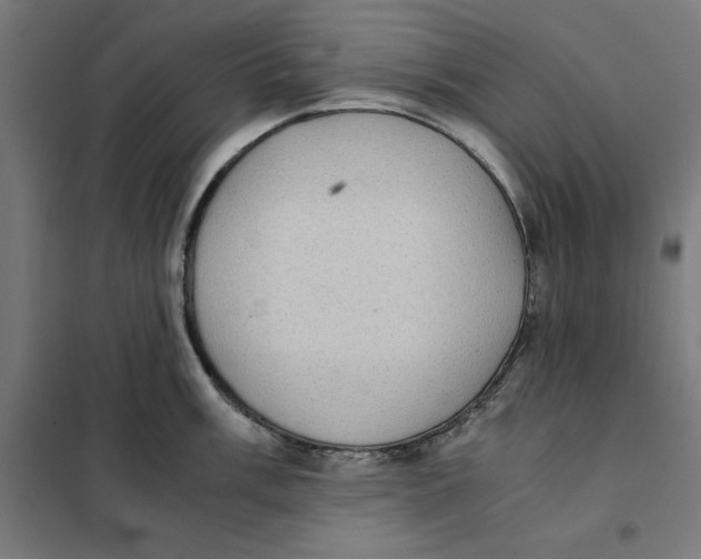 X0000101191003200807250958
