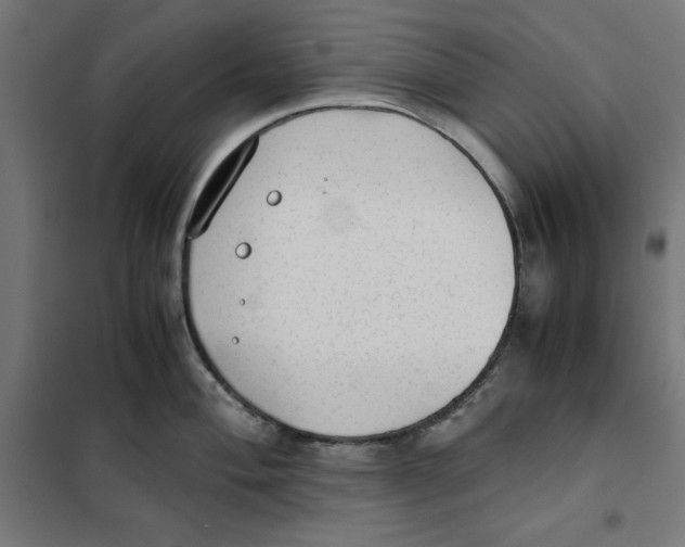 X0000101191004200807250958
