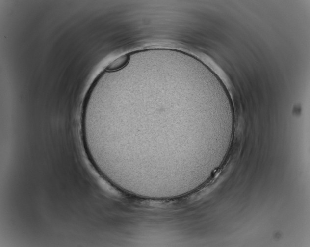 X0000101191005200807250958