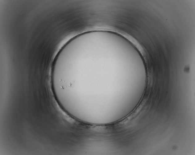 X0000101191006200807250958